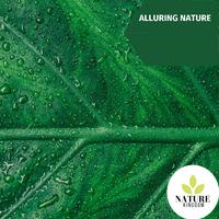 Alluring Nature