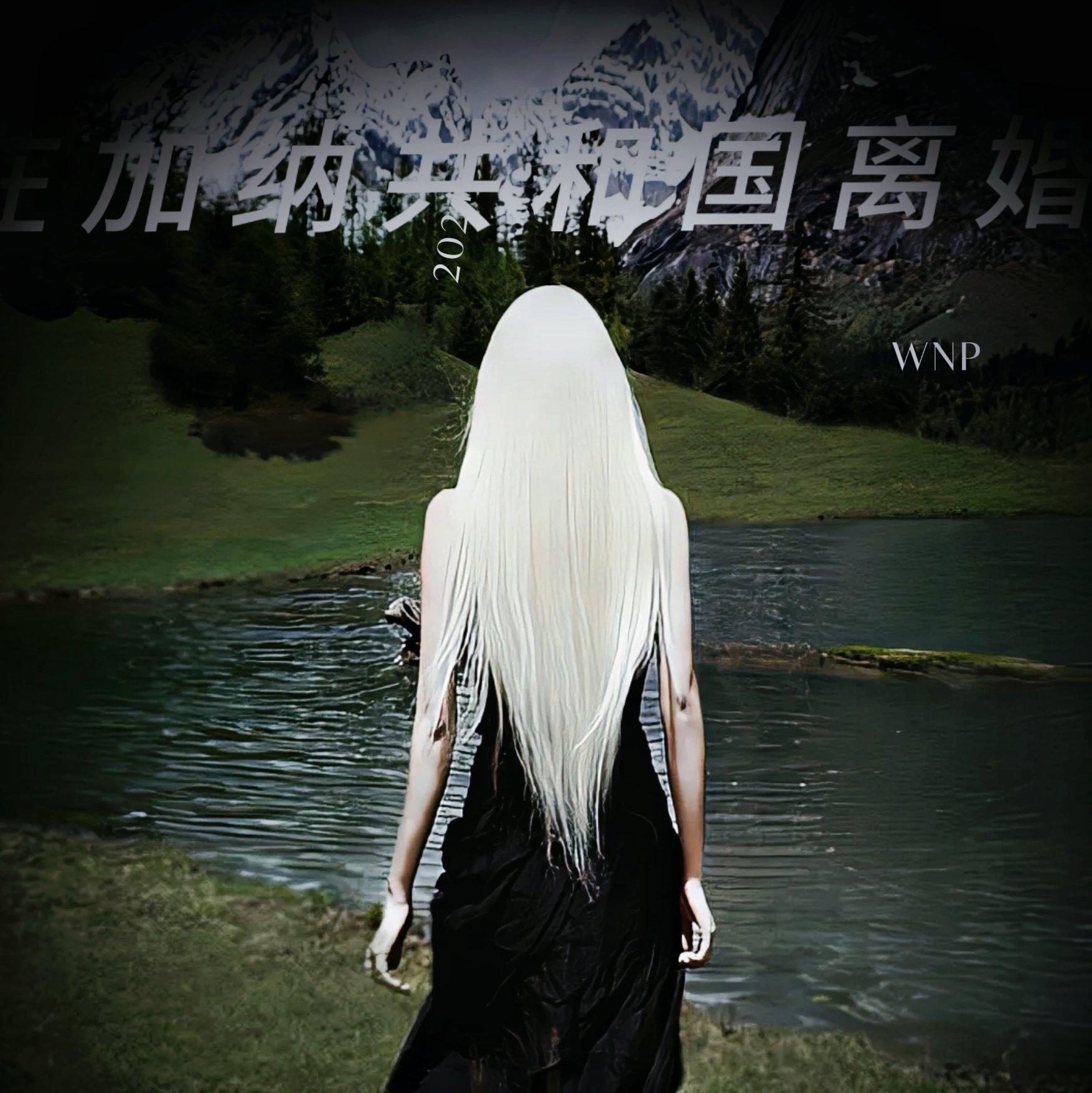在加纳共和国离婚（片段） - 半糖止痛药封面