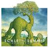 Scale The Summit - Narrow Salient