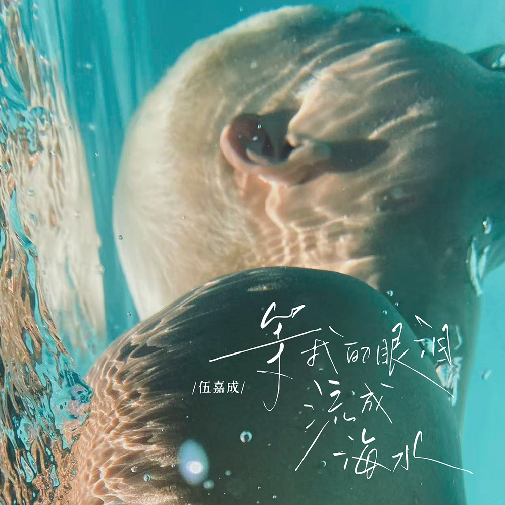 等我的眼泪流成海水