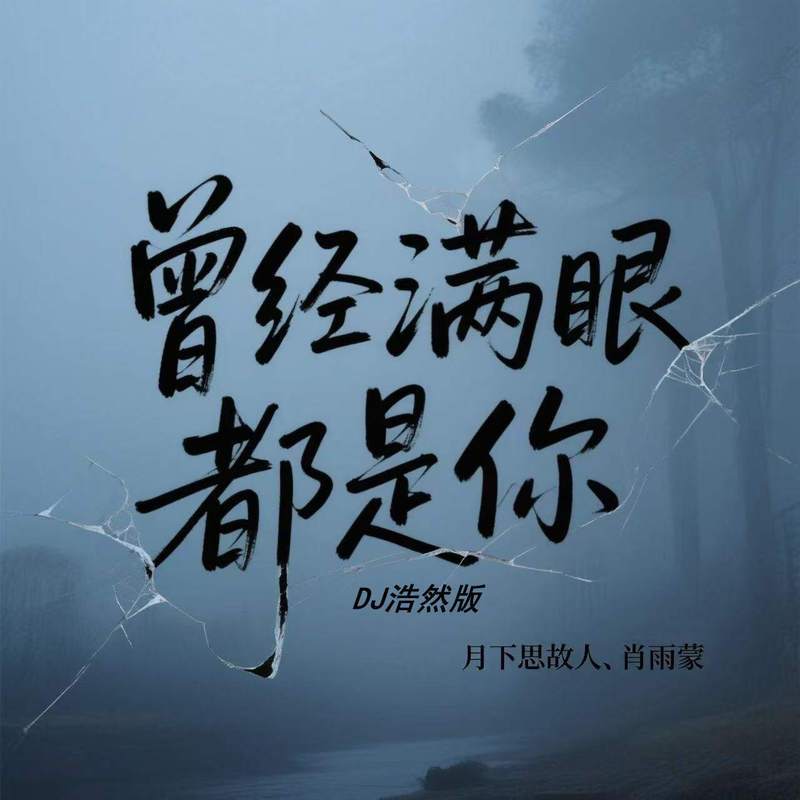 曾经满眼都是你 (DJ浩然版)封面