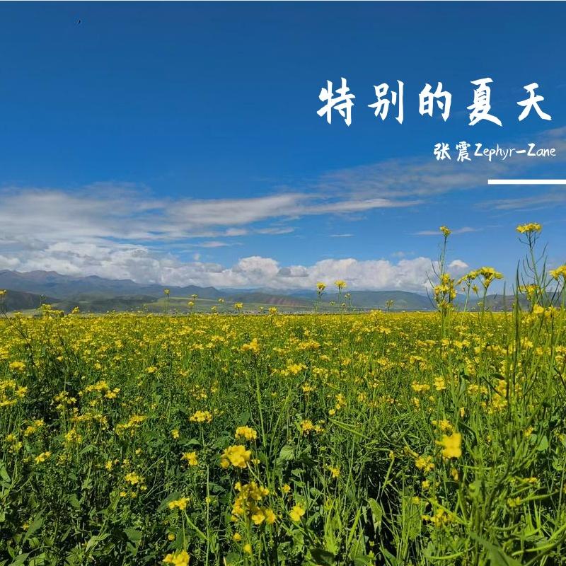 特别的夏天封面