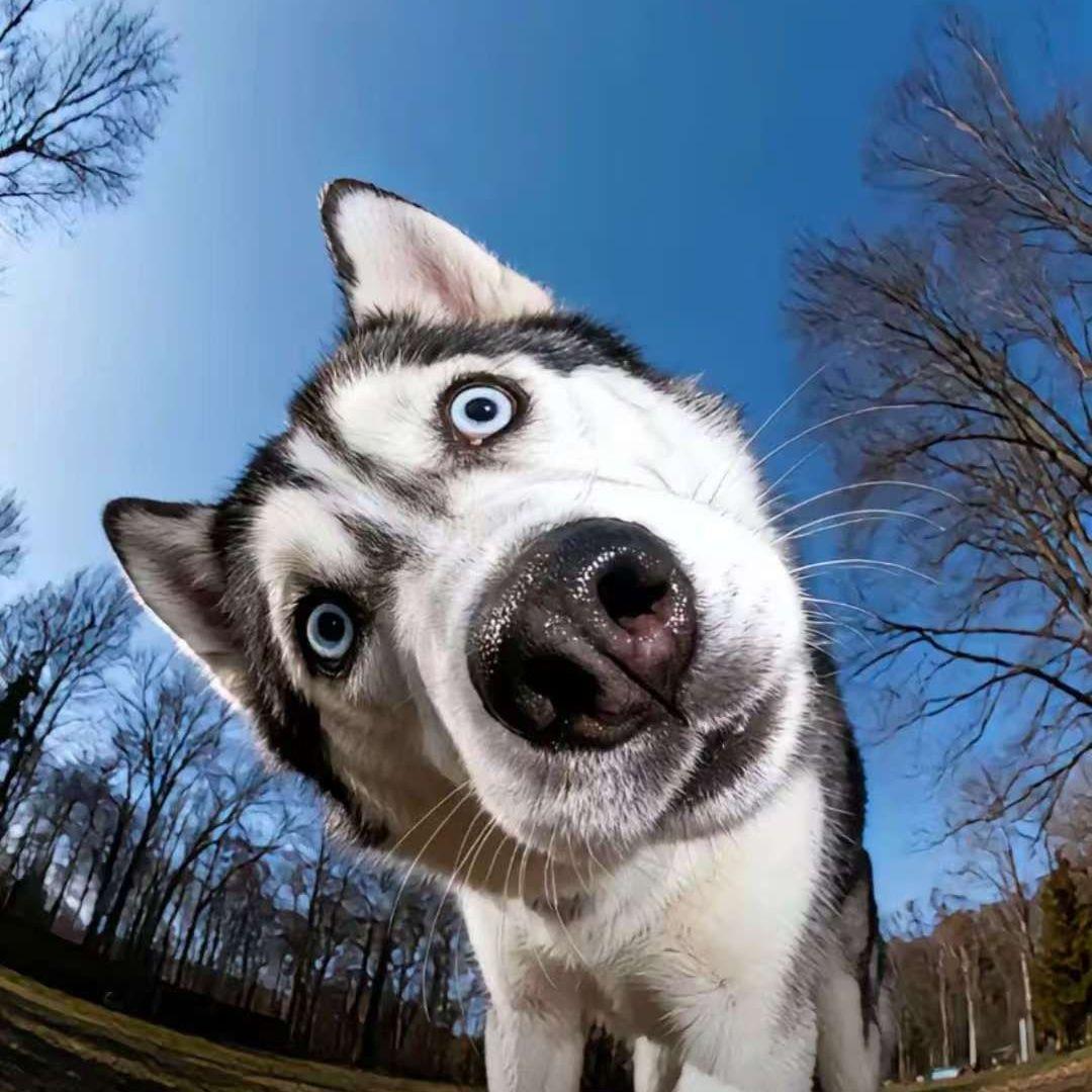 明日坐标（热播版）