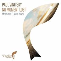 No Moment Lost (Mhammed El Alami Remix)