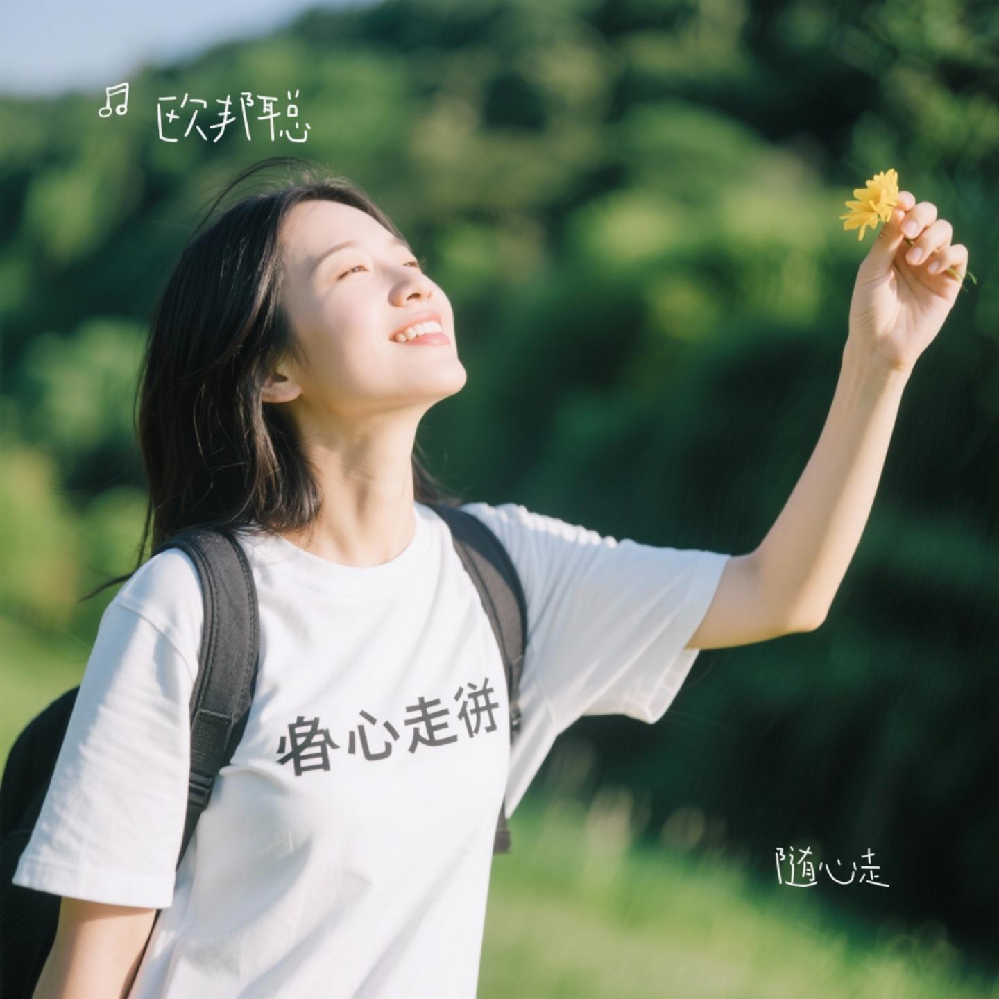 随心走封面