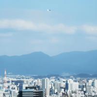 冯石叶