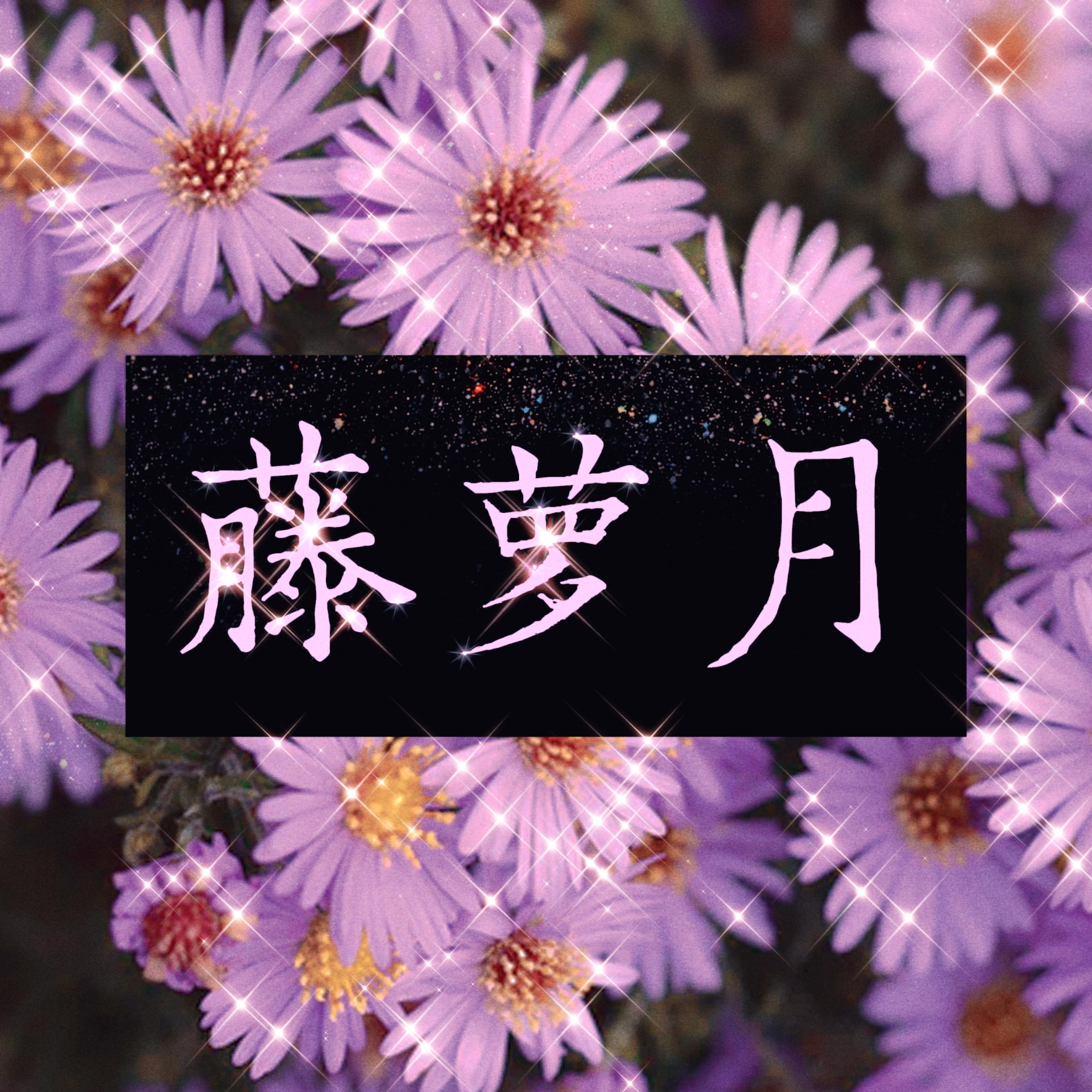藤萝月_徒有琴_藤萝月 | 在线播放_藤萝月歌词_藤萝月下载 | 网易云音乐