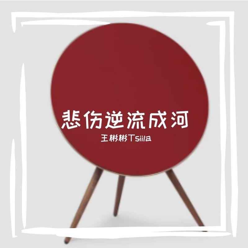 爱你的宿命封面