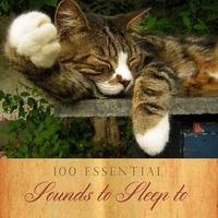 100 Essential Sounds to Sleep To