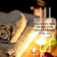 Calming Spa Music For Relaxation, Vol. 02