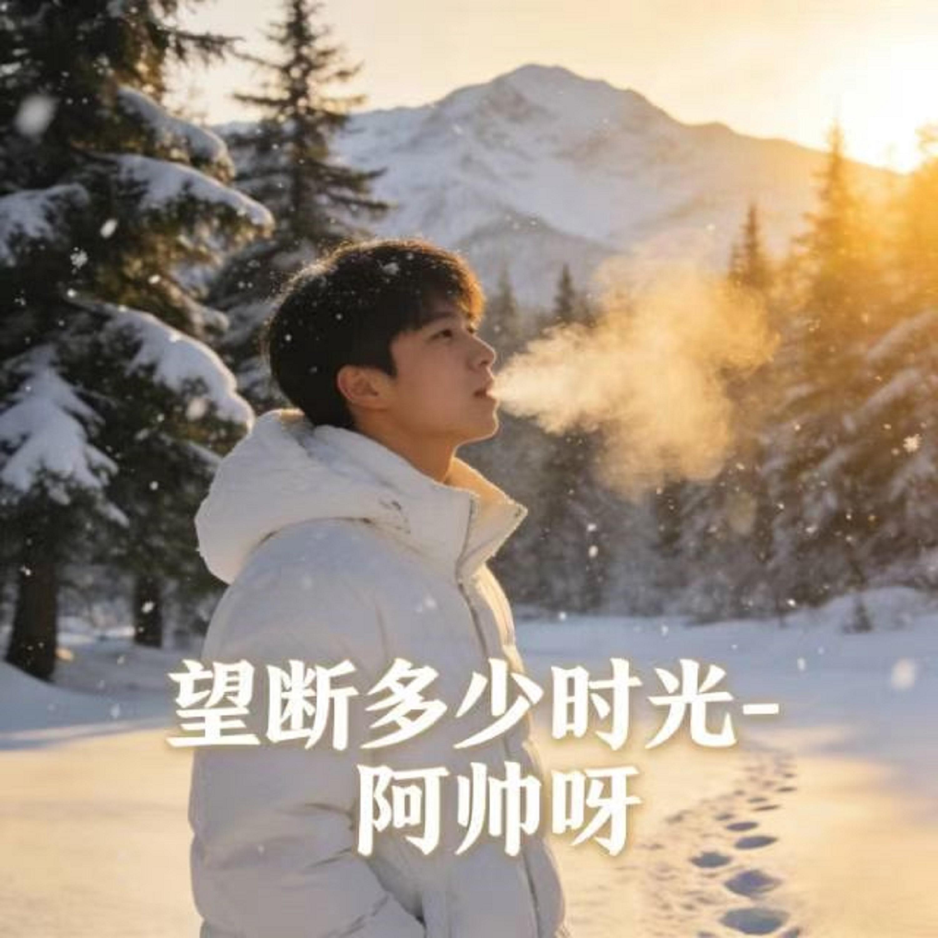 望断多少时光 (烟嗓版)封面