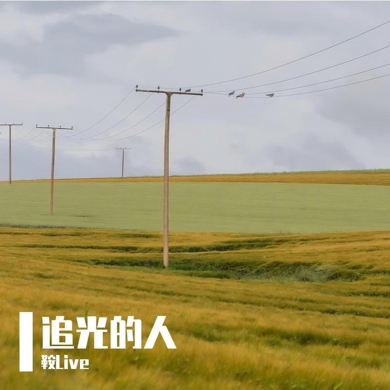 追光的人 伴奏封面