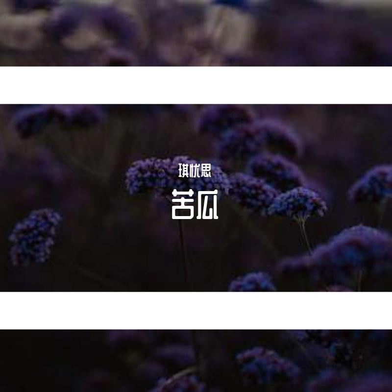 苦瓜（钢琴版）封面