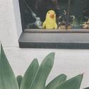 慢歌