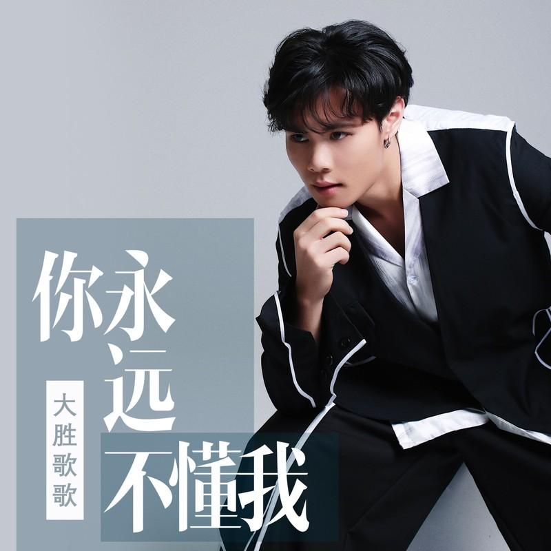 你永远不懂我 (伴奏)封面