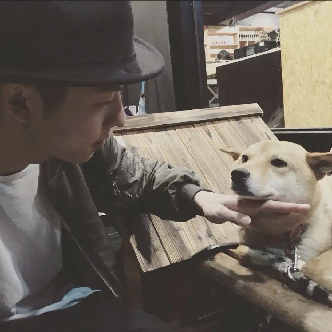 美若黎明（Cover:李健）