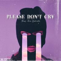 Please Don't Cry (feat. Zoe Gabrielle)