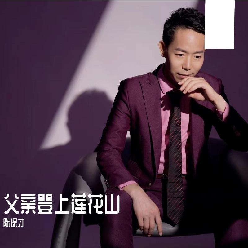 我父亲的儿子封面