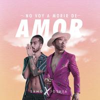 No Voy a Morir de Amor (Remix)