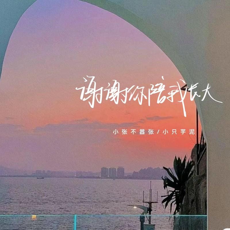 谢谢你陪我长大封面