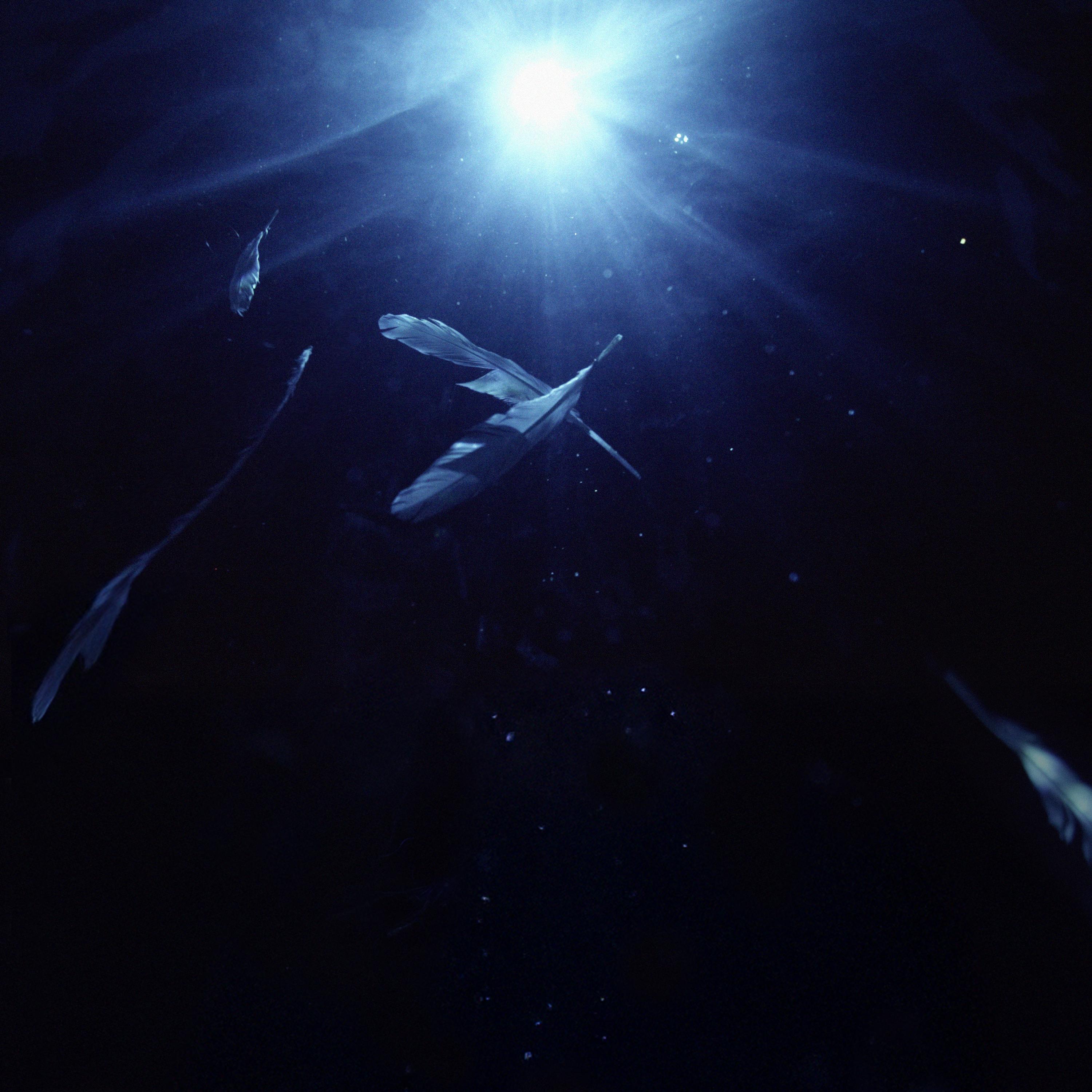Wings_Said The Sky_Wings | 在线播放_Wings歌词_Wings下载 | 网易云音乐