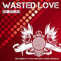 Wasted Love (Rob Nunjes vs. Bob Montero House Remix EP)