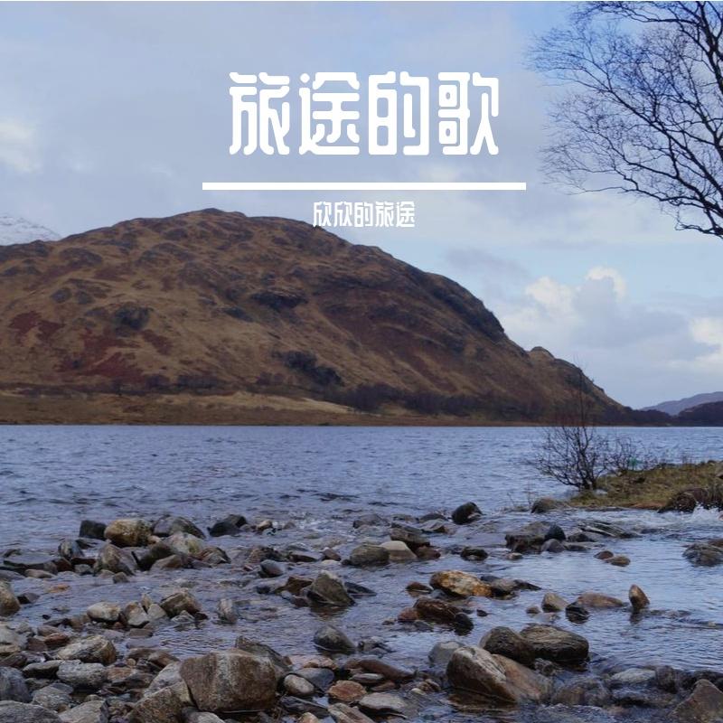 薄雾笼罩着宁静封面