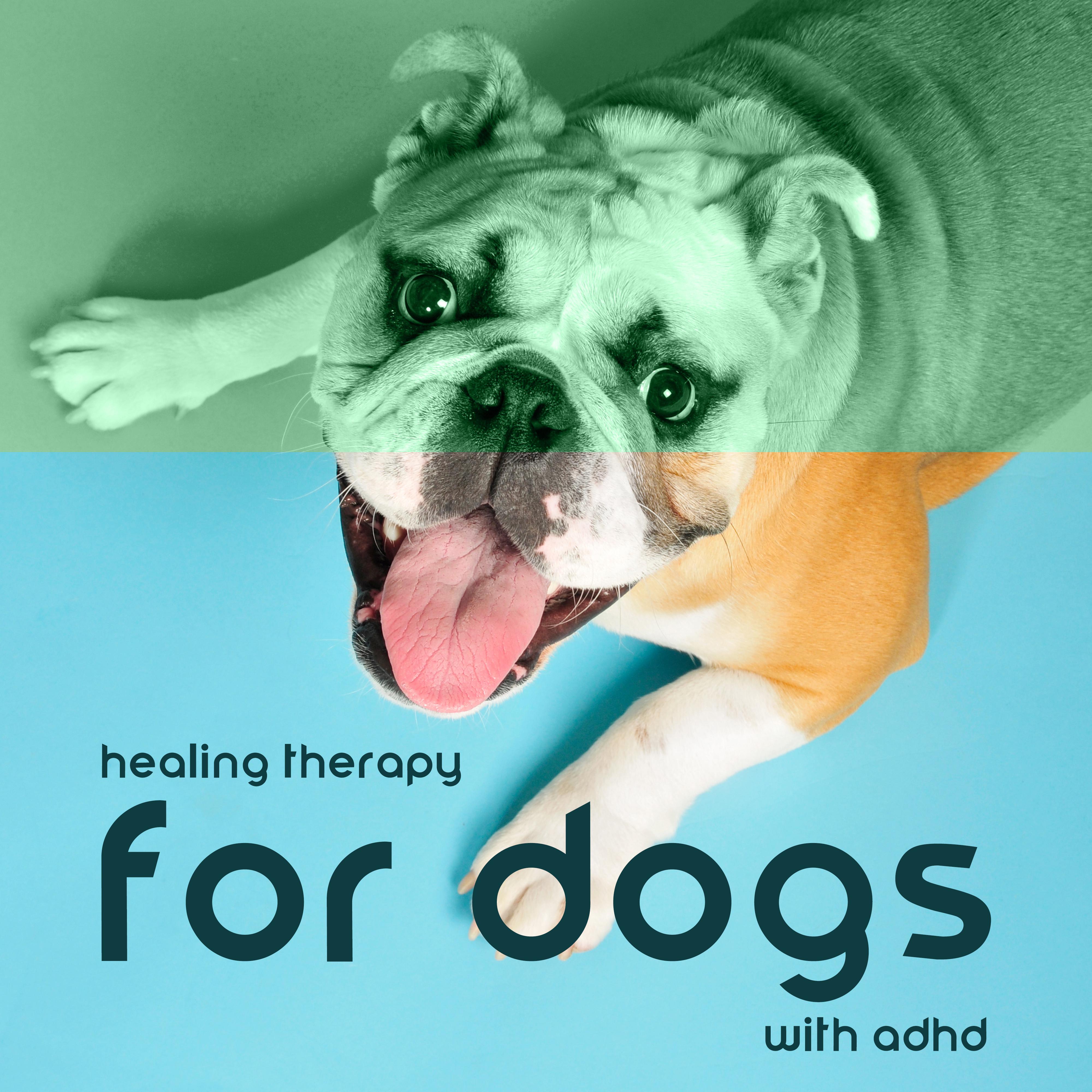 Mental Health Treatment Centers That Allow Pets: A Compassionate Approach to Healing