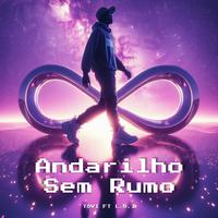 Andarilho Sem Rumo