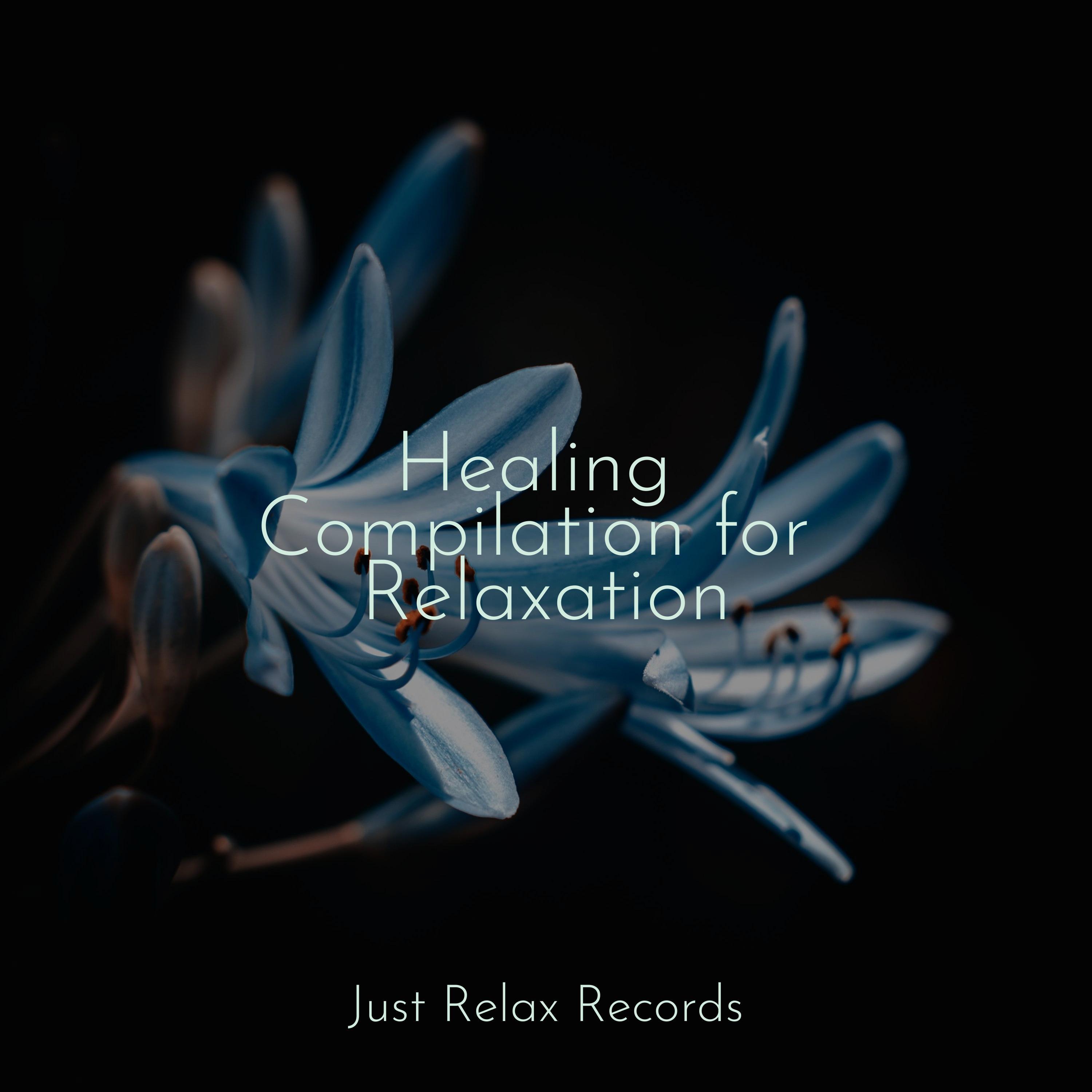 Moonlit Rhythms Rising Shakuhachi Sakano/Meditation Relaxation Club