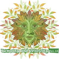 Bumping and Grooving, Vol. 10