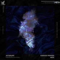 Afterlife