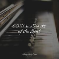 25 Piano Tracks of the Soul