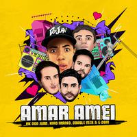 Amar Amei (Remix)