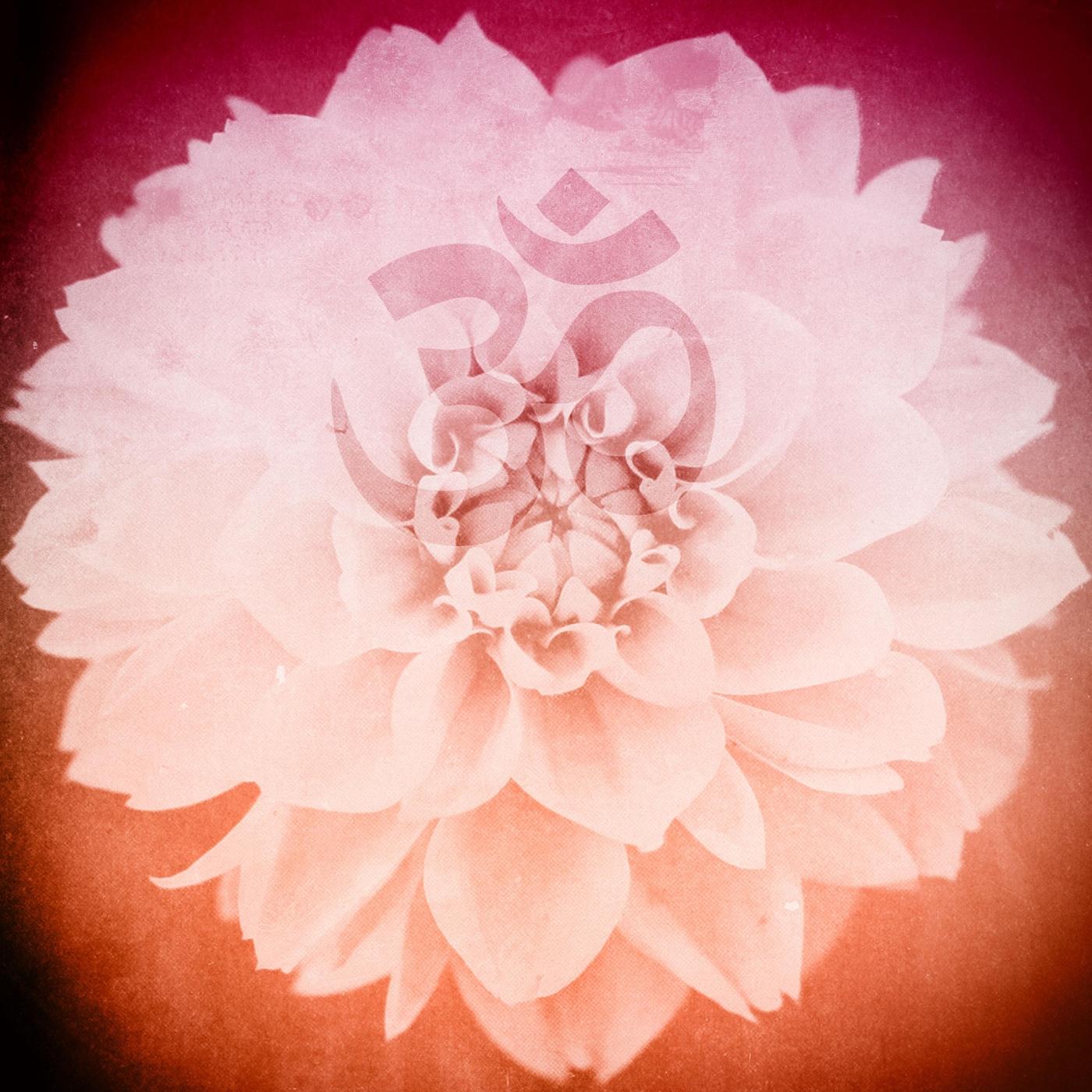 Tagzig Olmo Lung Ring