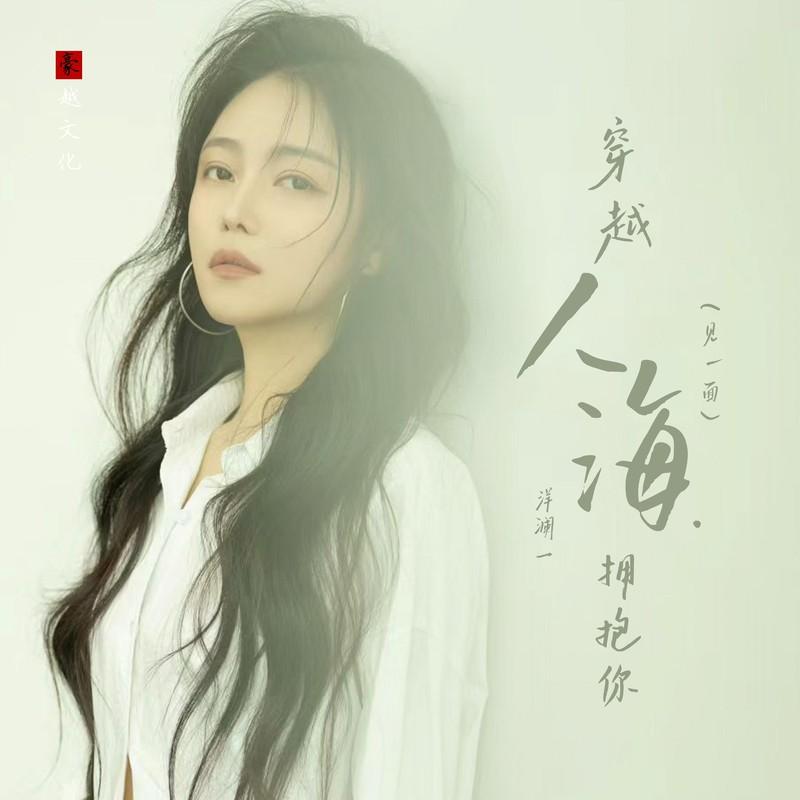穿越人海拥抱你（见一面）DJ默涵版 (DJ默涵版)封面