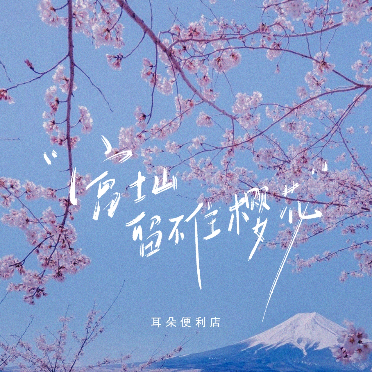 富士山留不住樱花封面