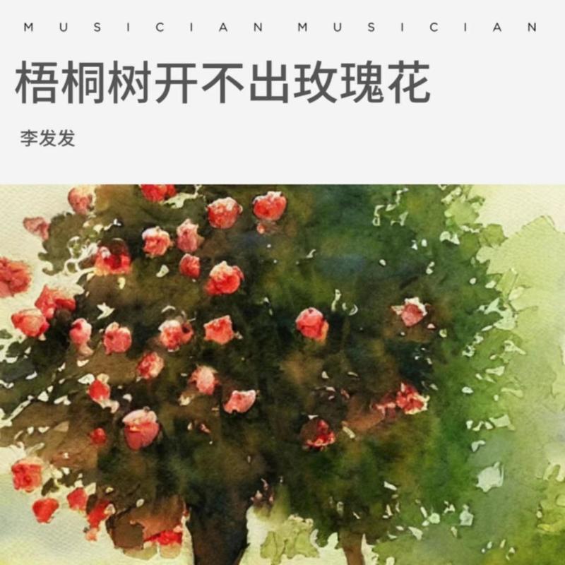 梧桐树开不出玫瑰花封面