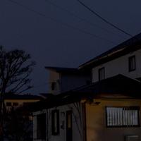 苏蕾