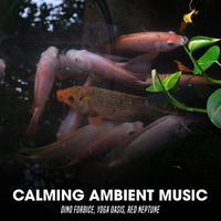 Calming Ambient Music