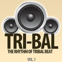 Tri-Bal, Vol. 1