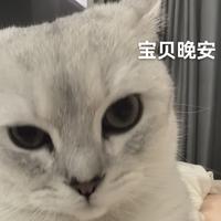 飞飞飞飞