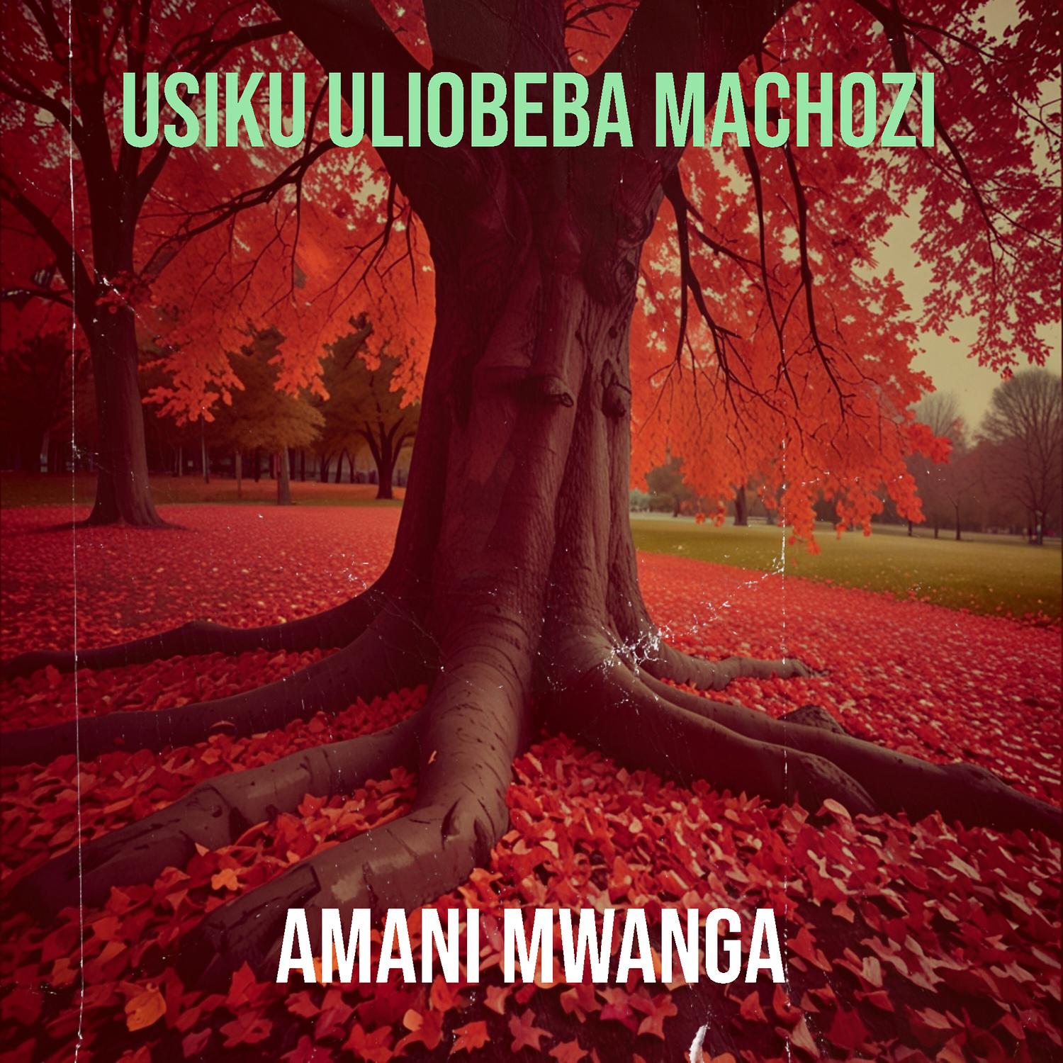 Sauti Ambayo Haikusikika