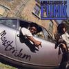 Ambassadors Of Funk - Everybody