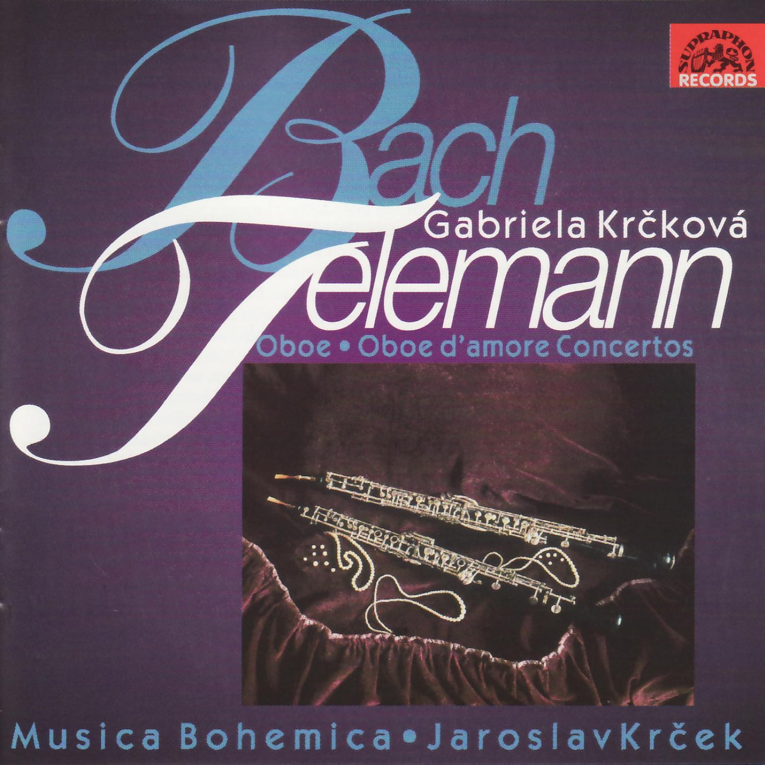 Concerto in D minor for Oboe, Strings and Basso Continuo: I. Allegro