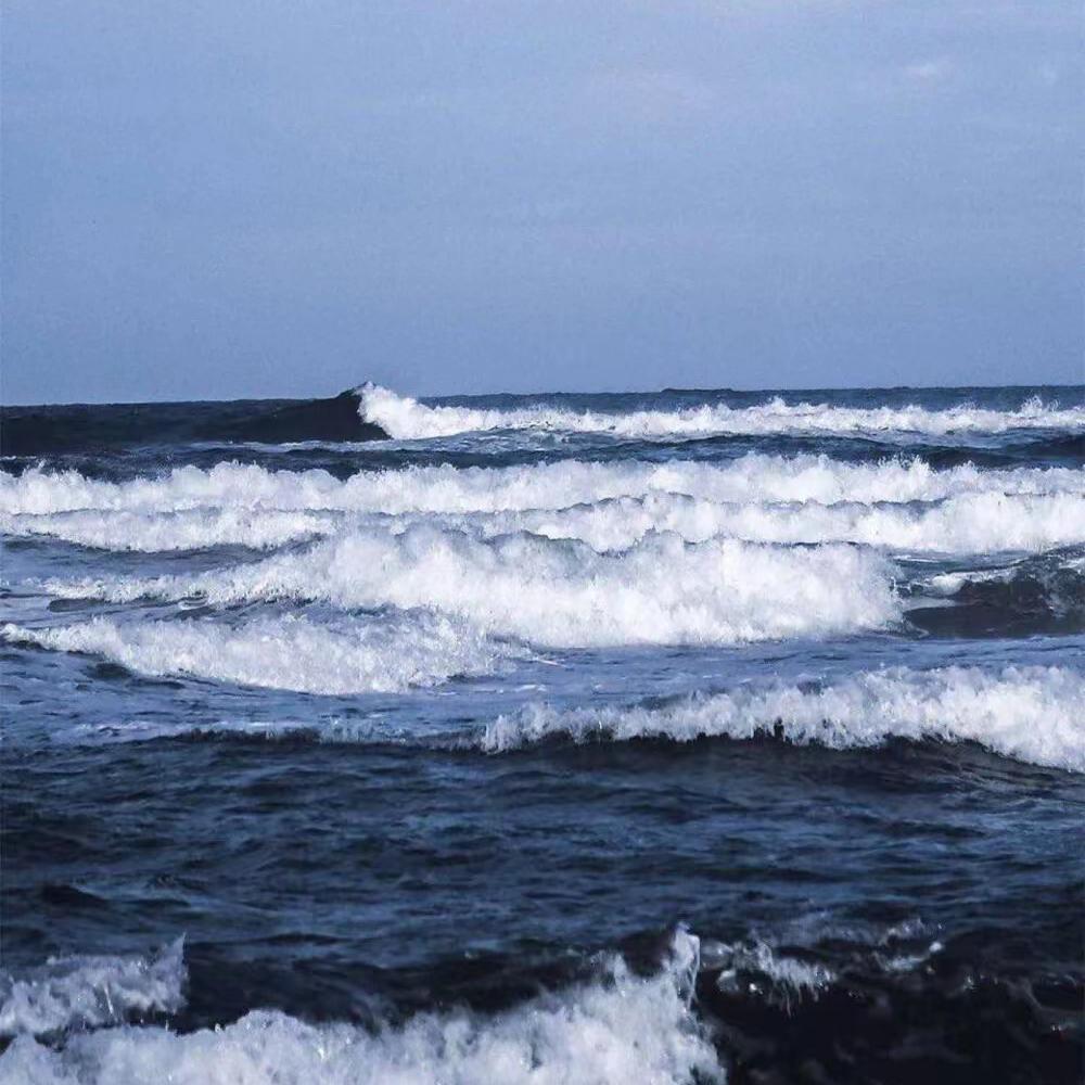 片片相思赋予谁