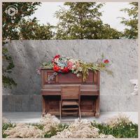 Peaceful Piano -Relax & Sleep-