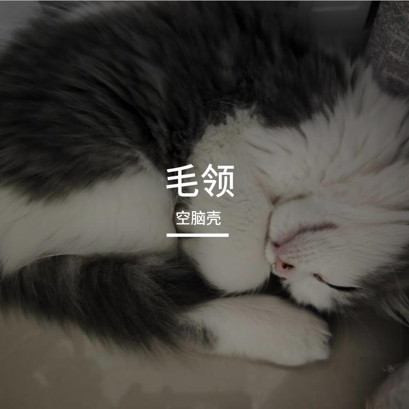 ブルーバード青鸟(箜篌)封面