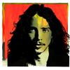 Chris Cornell - Only These Words