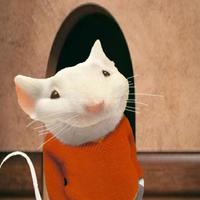 Lil Stuart Little